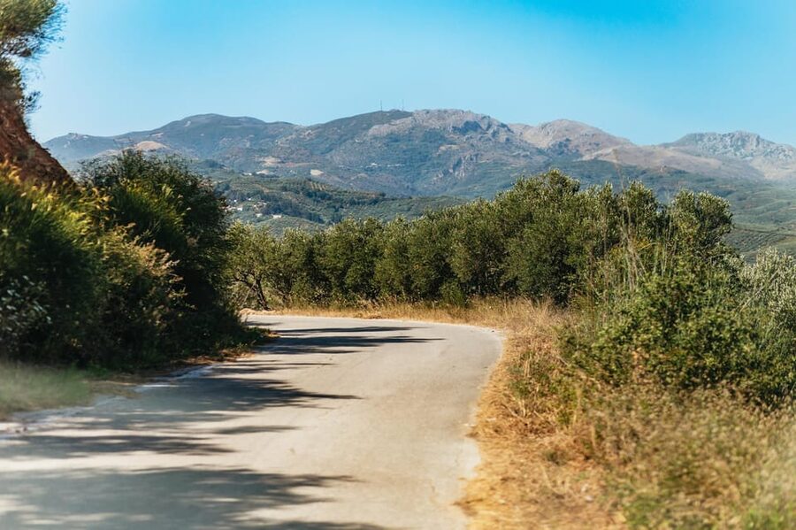 From Chania: Wine and Olive Oil Tasting Tour with Snacks - Price and Value: Is $141 Fair for What You Get?