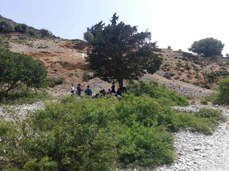 From Georgioupoli: Easy Hiking Day-Trip to Imbros Gorge - Francokastello: swimming, castle views, and a tavern-friendly finish