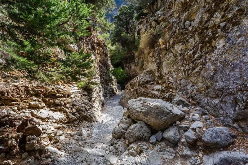 From Georgioupoli: Easy Hiking Day-Trip to Imbros Gorge - Getting from Georgioupoli: pickup, coach ride, and a comfort stop