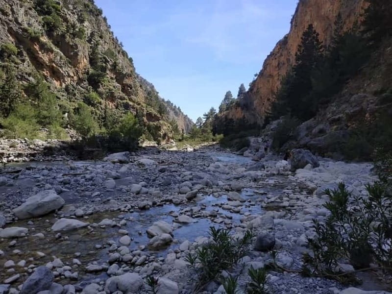From Georgioupolis: Roundtrip Transfer to Samaria Gorge - Guides, group pace, and safe driving on winding roads