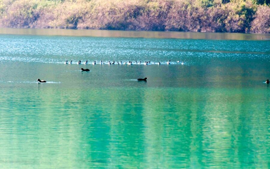 From Heraklion: Chania, Rethymno & Lake Kournas Full Day - Lake Kournas: the reason many people book this tour