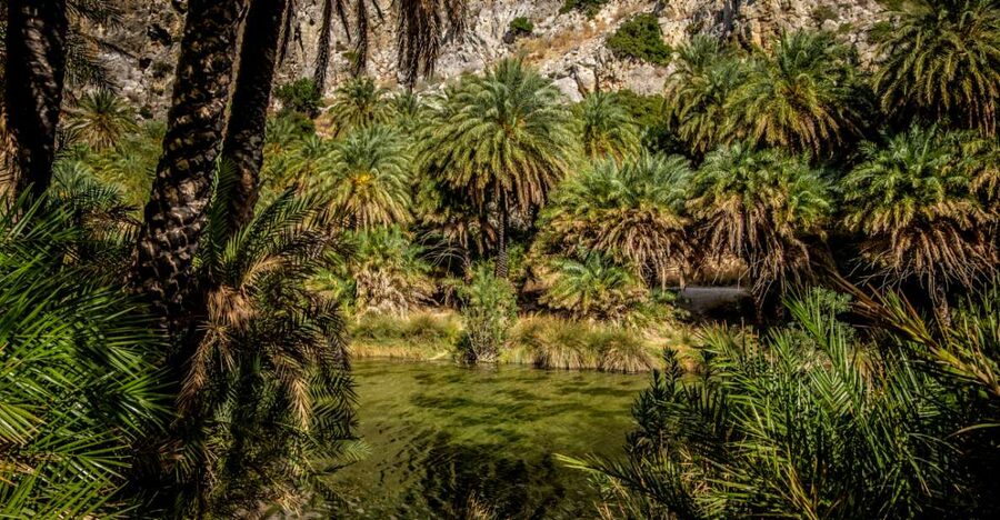 From Heraklion: Preveli Tropical Beach & Palm Forest Hike - Practical Tips That Make Preveli Easier