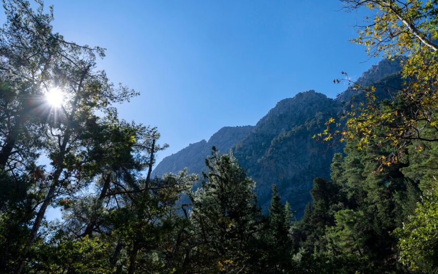 From Heraklion: Samaria Gorge Full-Day Guided Hiking Tour - Entering Samaria Gorge: 16 km, mostly downhill at first