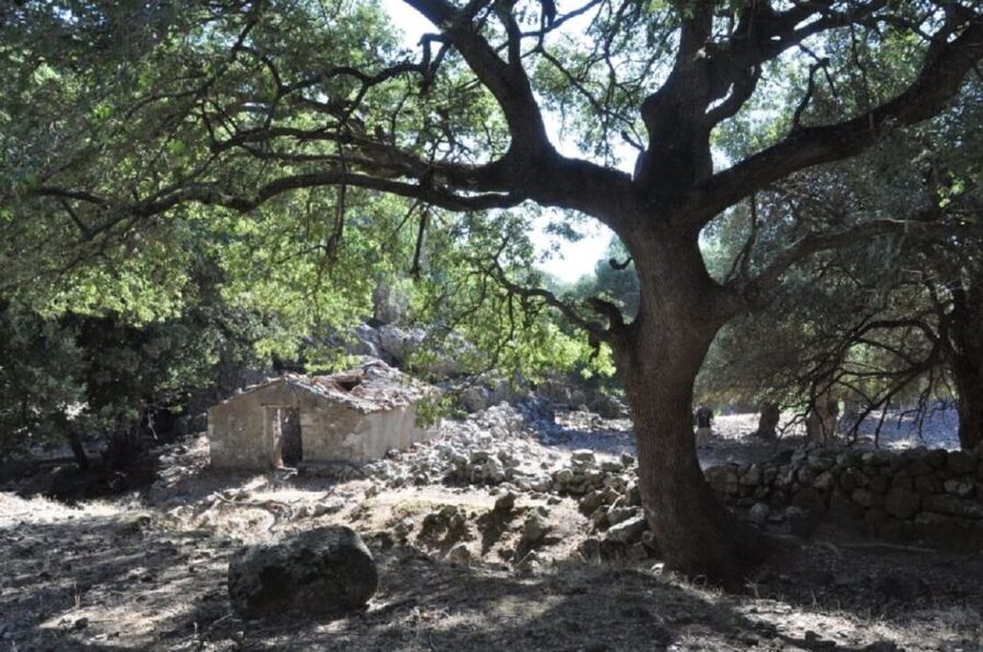 From Rethymno/Chania: Imbros Gorge Hike - Who this tour suits best