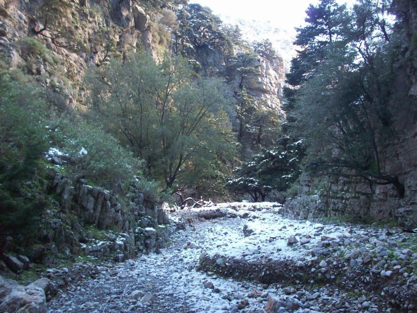 From Rethymno: Imbros Gorge & Libyan Guided Sea Tour - Key things to know before you go
