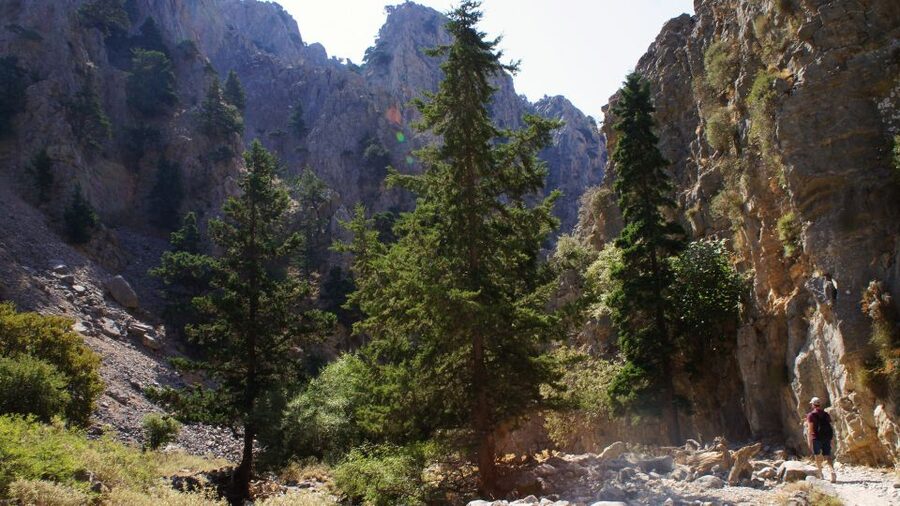 From Rethymno: Imbros Gorge & Libyan Guided Sea Tour - Komitades to Chora Sfakion: the sea views break