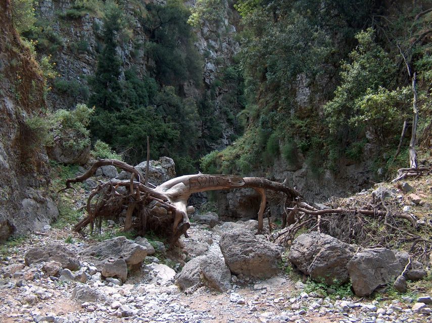 From Rethymno: Imbros Gorge & Libyan Guided Sea Tour - Libyan Sea swim and lunch on the south coast