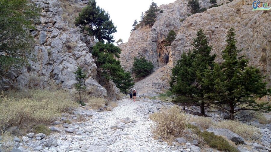 From Rethymno: Imbros Gorge & Libyan Guided Sea Tour - What to pack so the day feels easy