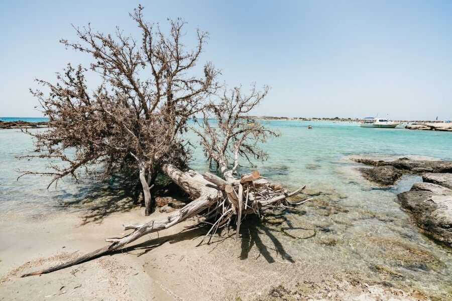 From Rethymno/Kavros: Elafonissi Pink Sand Beach Tour - Key things that make this Elafonissi day trip worth it