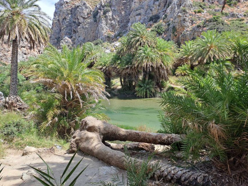 From Rethymno: Kourtaliotiko, Preveli Palm Beach, & Damnoni - Back to Damnoni, then Plakias: how to use the free time