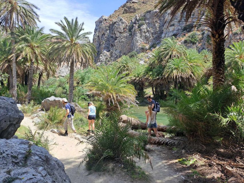 From Rethymno: Kourtaliotiko, Preveli Palm Beach, & Damnoni - Kourtaliotiko Gorge waterfalls: the walk, the wind, and the rules