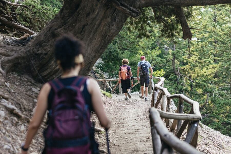 From Rethymno: Samaria Gorge Full-Day Trek, Pickup & Guide - Guides like Pia and George, and why the nature talk helps