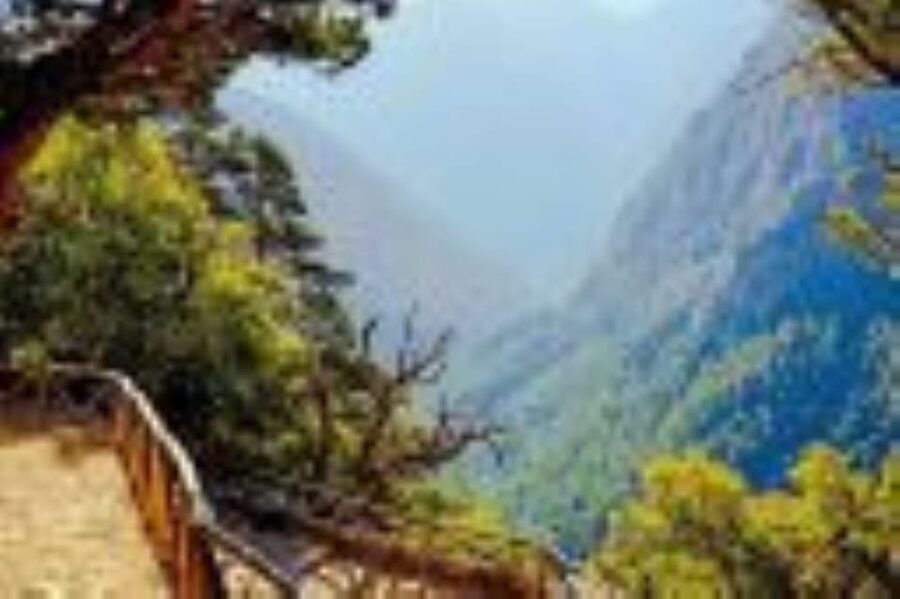 From Rethymno: Samaria gorge with Professional Hiking Guide - Ferry to Sougia and the return by bus