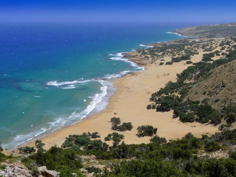 From Rethymnon Area: Private Trip to Preveli & Kourtaliotiko - Preveli Palm Forest Beach Time, Plus a Short Walk
