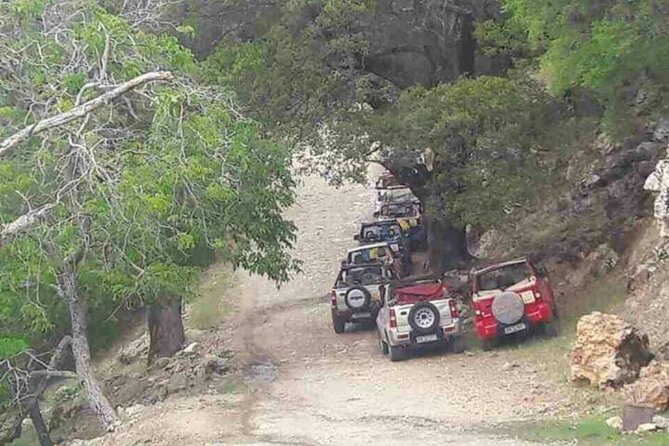 Full-Day 4x4 Self-Drive Safari in East Crete with Lunch - Stop by stop: how the day unfolds in Lasithi Prefecture