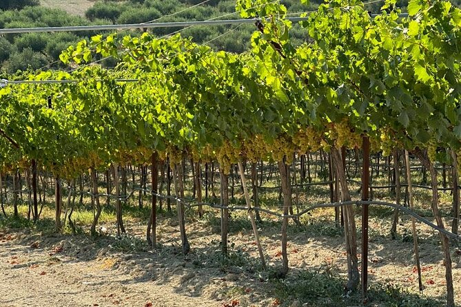 Full Day - Ecobike - Discover old villages & Wine tasting - Old villages by Ecobike: more than a scenic ride