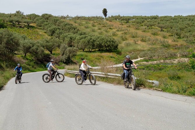 Full Day - Ecobike - Discover old villages & Wine tasting - Mountain village life and the Yannis tavern pause