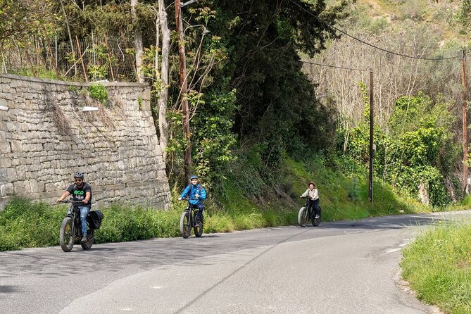 Full Day - Ecobike - Discover old villages & Wine tasting - Price and value: is $179.59 per person a fair deal?