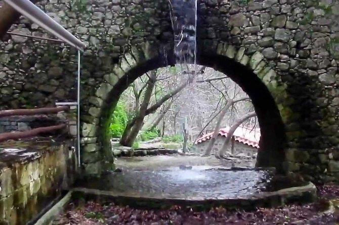 Full Day Guided Eco and Nature Tour in Crete - Price and timing: why $34 can feel like good value here