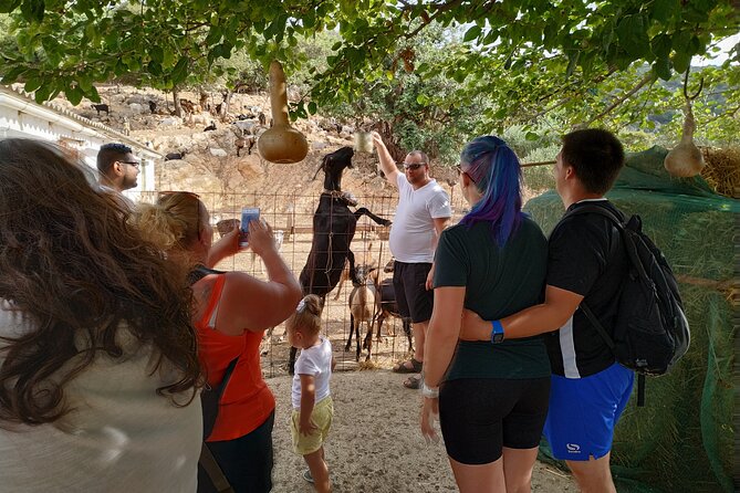 Full-Day Jeep Safari Tour with Cooking Lesson - Potamies Mitato: Goat Milking, Cheese, Raki, and Flour the Old Way