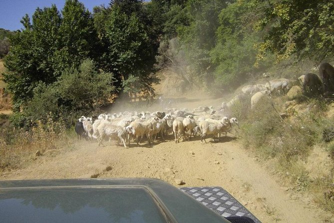 Full-Day Land Rover Safari from Heraklion with Lunch - The Zeus Cave Area: What to Expect, and a Practical Plan B