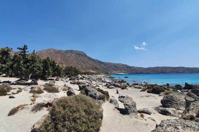 Full-Day Private Tour in Elafonisi Pink Beach - Stop 5: Sfinari Beach and a Fish Restaurant Lunch Idea
