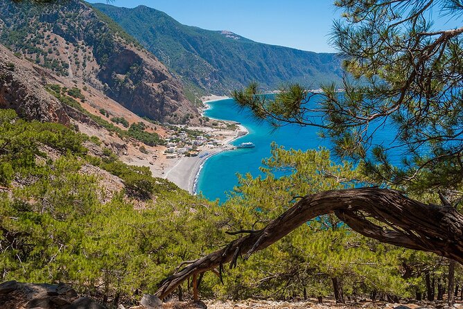 Full-Day Samaria Gorge Chania Guided Tour - Packing choices that protect your knees, ankles, and mood