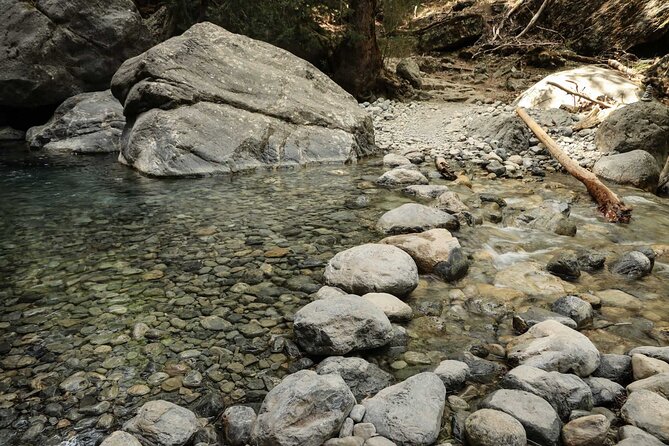 Full-Day Samaria Gorge Private Hiking Tour - Price and value: $502.86 for up to 3, and how to decide if it fits