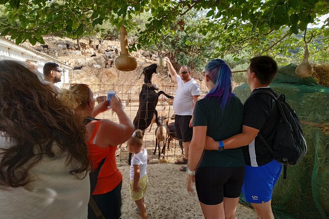 Full-Day Small-Group Tour in Crete with Zeus Cave Visit - What Your Money Gets You on This Crete 4WD Day
