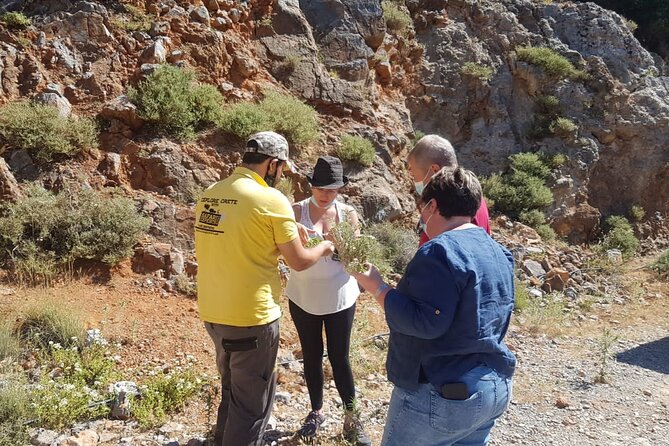 Full-Day Small-Group Tour in Crete with Zeus Cave Visit - Aposelemis Dam: Submerged Houses and Bird-Watching Time