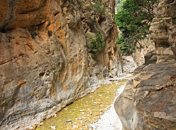 Full Day Tour Samaria Gorge From Chania - Key highlights people love about this Samaria day trip