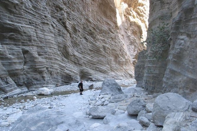 Full Day Tour Samaria Gorge From Rethymno - Wildlife you might spot: the Kri-Kri story in the park