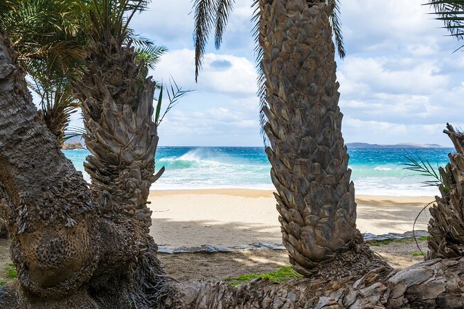 Full-Day Tour to Vai Palm Beach, Toplou Monastery, and Sitia Town - What to bring so you enjoy every stop