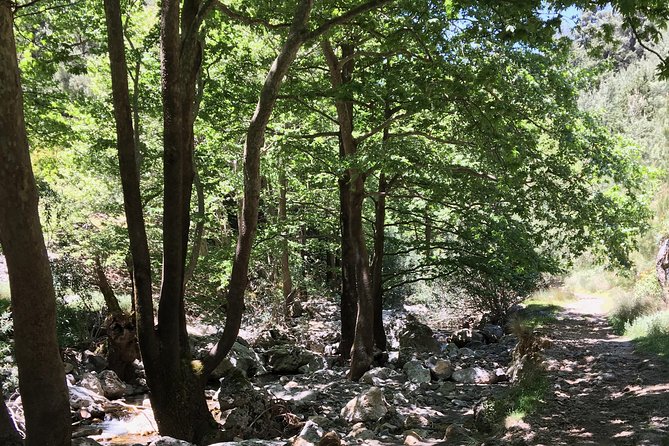 Fygou and Agia Irini Gorge Loop Half Day Hiking Tour - Omalos Valley Stop and the Samaria Gorge View at 1,250m
