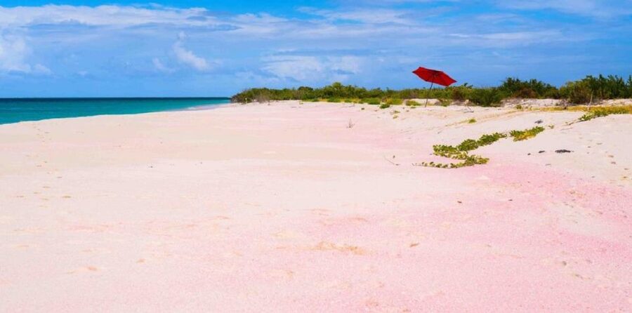 Georgioupolis Area: Full-Day Bus Trip to Elafonisi Island - Key things to know before you go