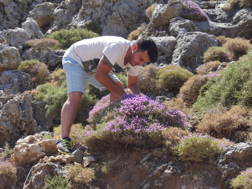 Georgioupolis Full-Day Land Rover Safari Experience - Why This Georgioupolis Land Rover Day Feels Like a Real Cretan Safari