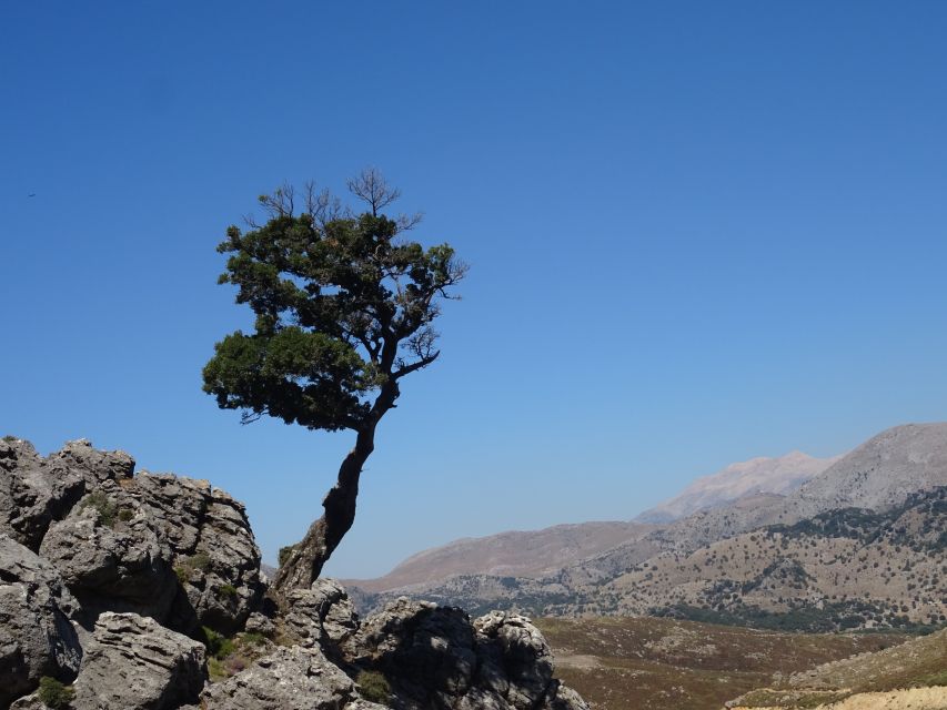 Georgioupolis Full-Day Land Rover Safari Experience - The White Mountains Off-Road Portion, Bumpy Roads and Big Rewards