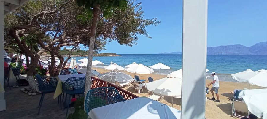 Greek food tasting experience - Vegetarian and vegan options that still feel like real Cretan food