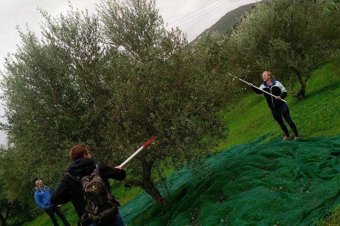 Half-Day Georgioupolis Off-Road Adventure with Meal - Key Things You’ll Notice on This Georgioupolis Off-Road Adventure