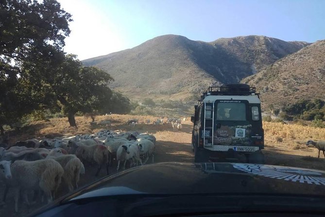Half-Day Georgioupolis Off-Road Adventure with Meal - Apokoronas Off-Road Climb: Lefka Ori Woods and 850 Meters of Views