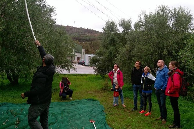 Half-Day Georgioupolis Off-Road Adventure with Meal - Cretan Cheeses: Why Sheep and Goat Dairy Changes the Flavor