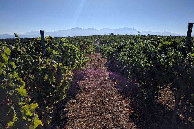Half-Day Private Tour in Two Wineries and Archanes from Heraklion - Archanes Village for About 40 Minutes: Traditional Streets Without the Rush