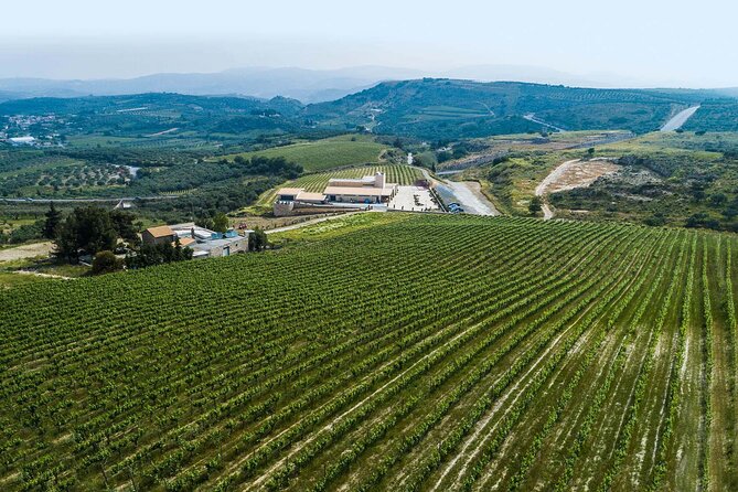 Half-Day Private Tour in Two Wineries and Archanes from Heraklion - Price and Value: What $639.96 Covers, and What You Should Budget For