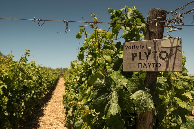 Half-Day Private Tour in Two Wineries and Archanes from Heraklion - Who This Tour Suits Best in Heraklion, and Who Might Want to Skip It
