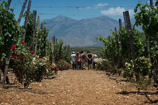 Half-Day Private Tour in Two Wineries and Archanes from Heraklion - Weather, Flexibility, and How to Plan Your Day