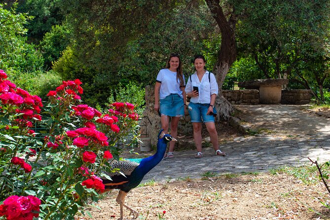 Half-Day Private Tour & Picnic in Real Cretan Countryside Retreat - Logistics That Actually Help (Pickup, Timing, and Day Rhythm)