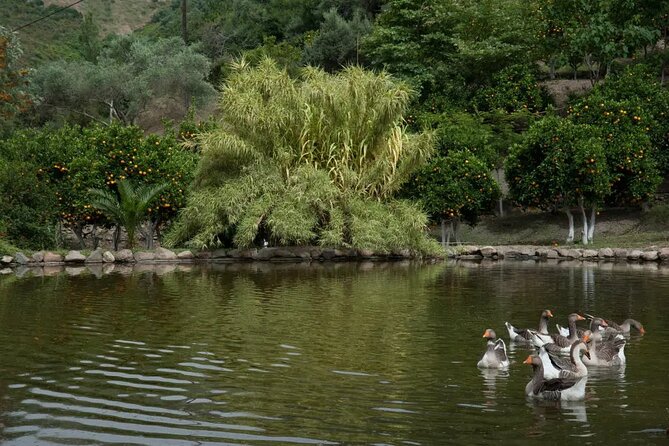 Half Day Private Tour to Botanical Garden in Chania - Weather reality check: plan for a good day outdoors