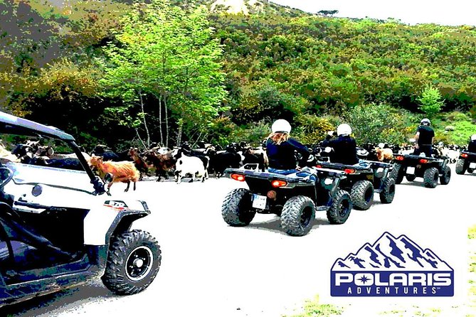 Half-Day Rethymno Quad Safari - Potami Dam Lake: coffee by the water and a reset for your legs