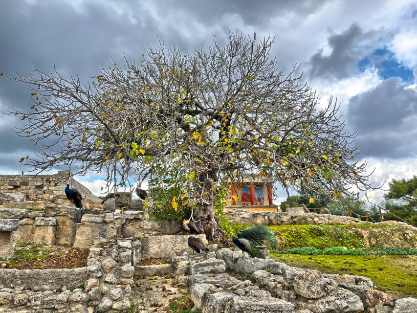 Heraklion: Archeological Museum of Heraklion Entrance & Tour - Why a 90-minute museum tour beats random wandering