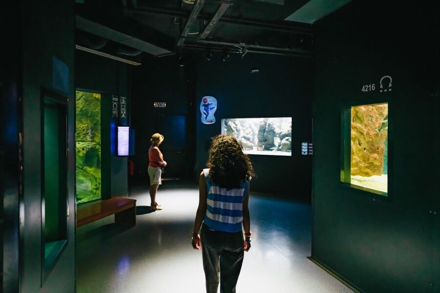 Heraklion Area: CRETAquarium Admission Ticket - Jellyfish and tropical clownfish: close-up views in shallow open-topped tanks